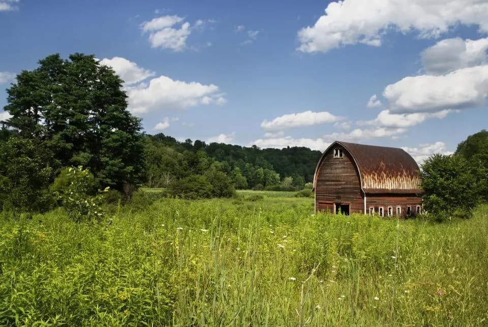 Red barn on a green farm field
