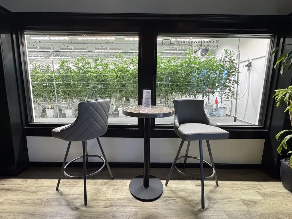 Indoor cannabis grow room seen through viewing windows